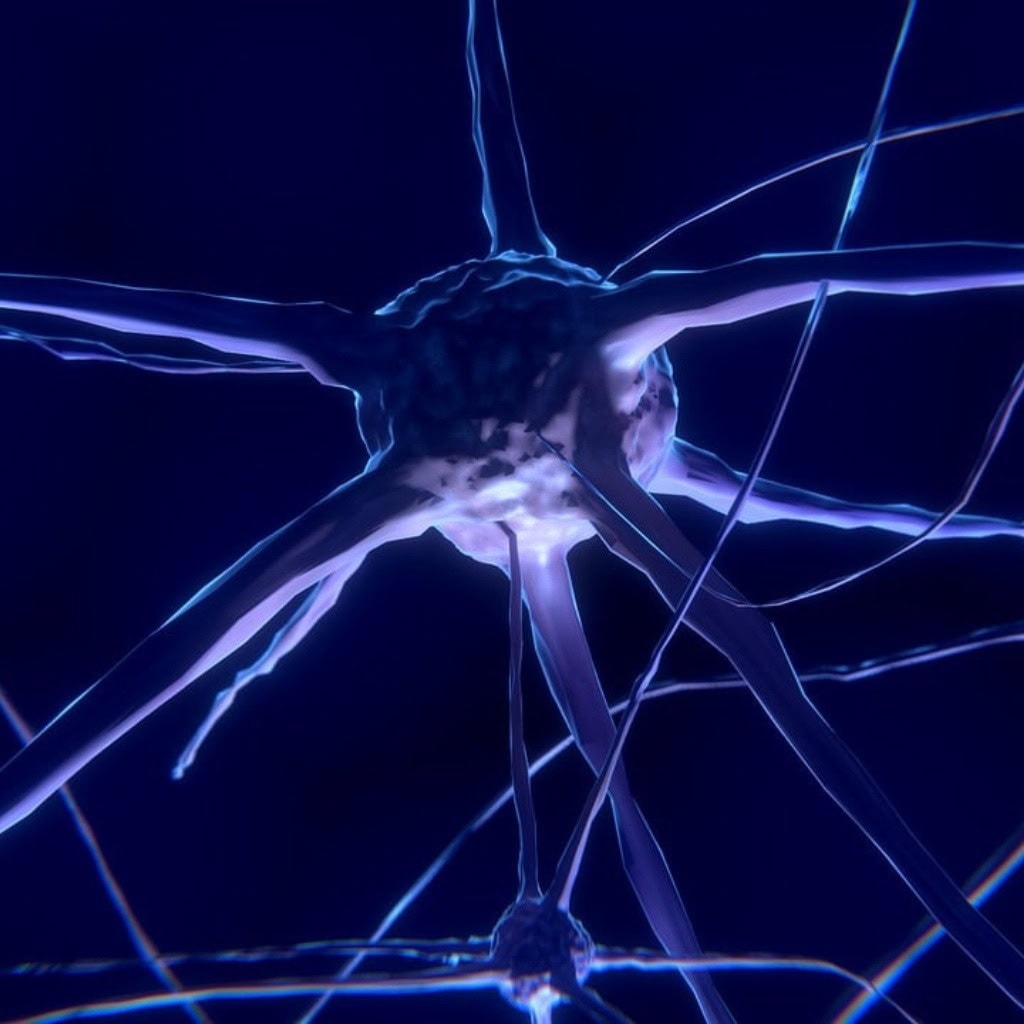 Neuroprotection 1024 × 1024 px