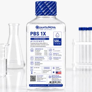PBS Buffer 1X, Phosphate Buffered Saline Solution, 500mL
