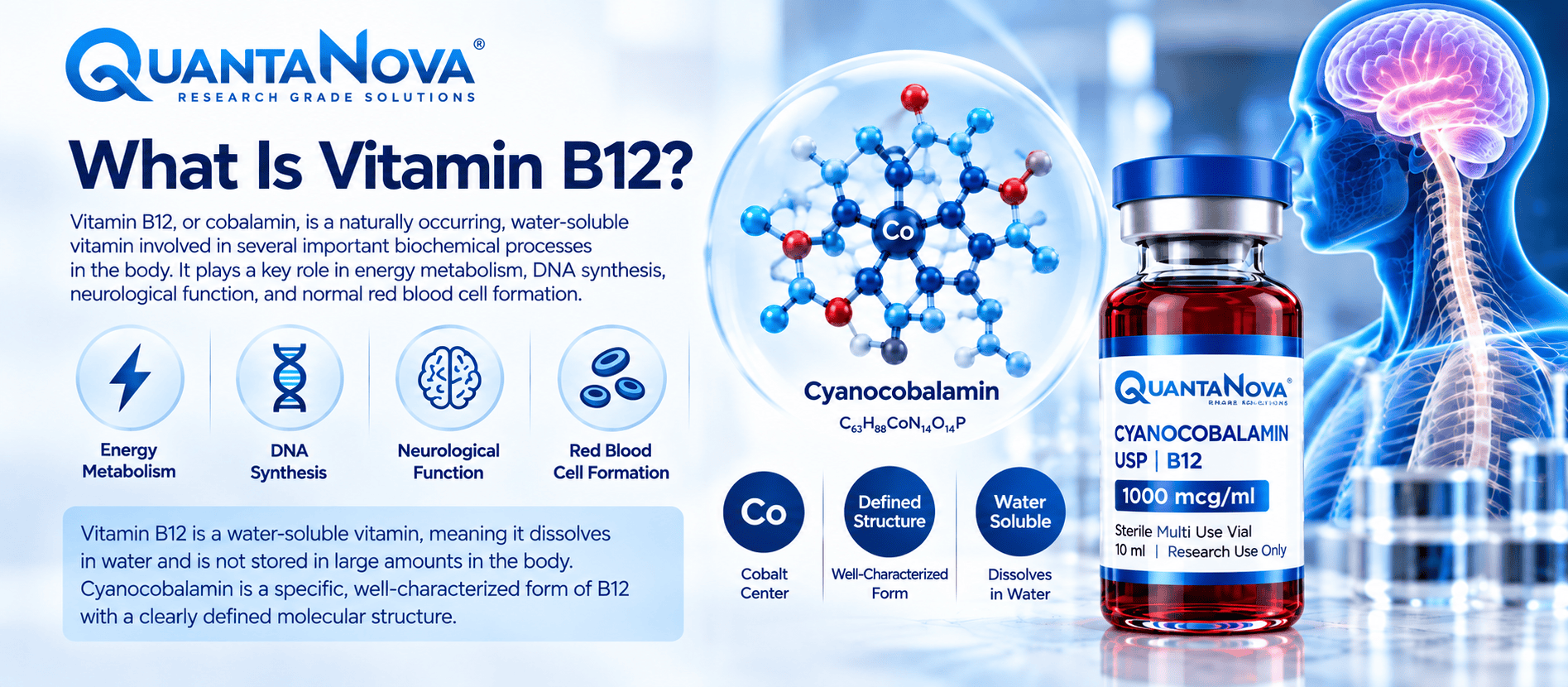 What Is Vitamin B12