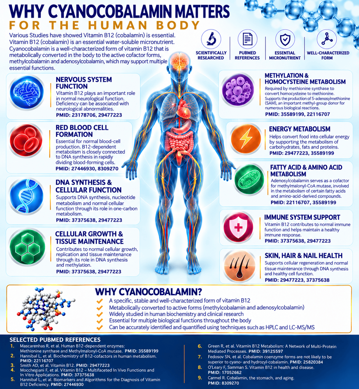 Why Cyanocobalamin Matters for the Human Body – Vitamin B12 benefits, cellular function, metabolism, immune support and scientific references