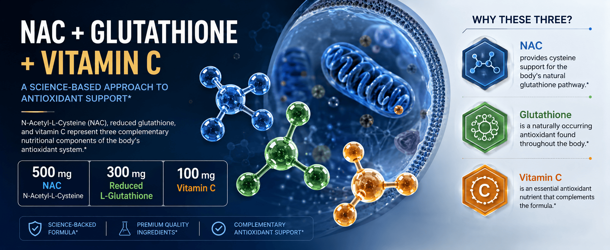 Detailed scientific illustration of NAC, Glutathione, and Vitamin C molecules with labels highlighting their health benefits.