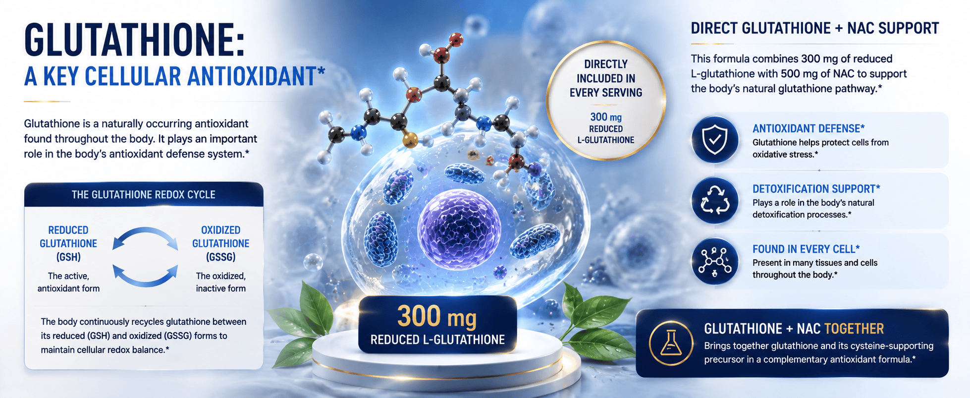 Detailed infographic about glutathione as a cellular antioxidant, highlighting its benefits, support, and formulation with NAC and Vitamin C.